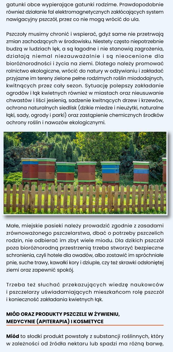 Kwietne ogrody dla pszcz&oacute;ł