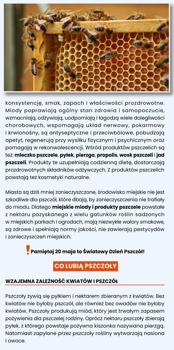 Kwietne ogrody dla pszcz&oacute;ł 03