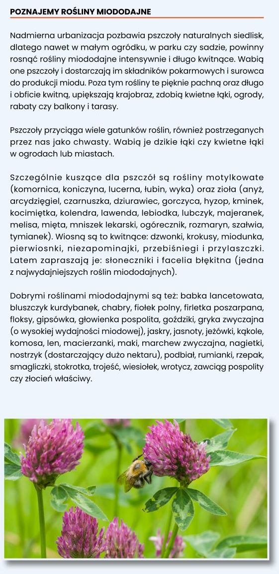 Kwietne ogrody dla pszcz&oacute;ł 04