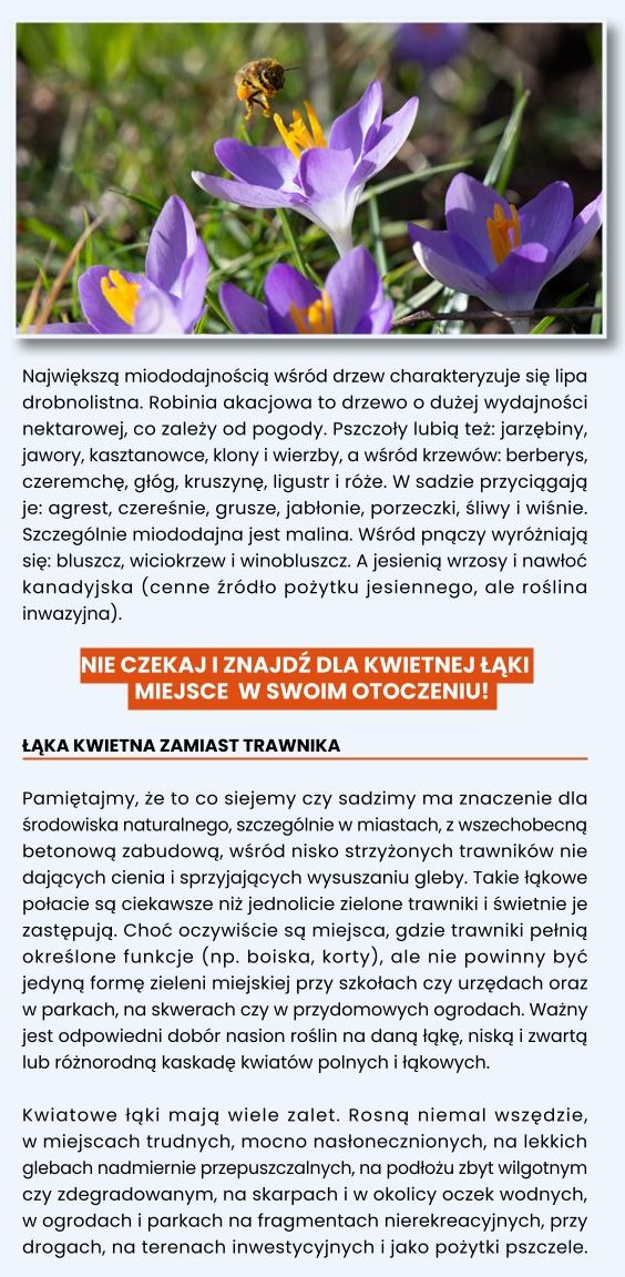 Kwietne ogrody dla pszcz&oacute;ł 05
