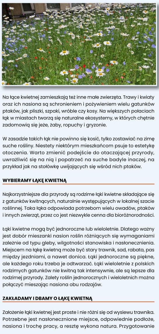 Kwietne ogrody dla pszcz&oacute;ł 08