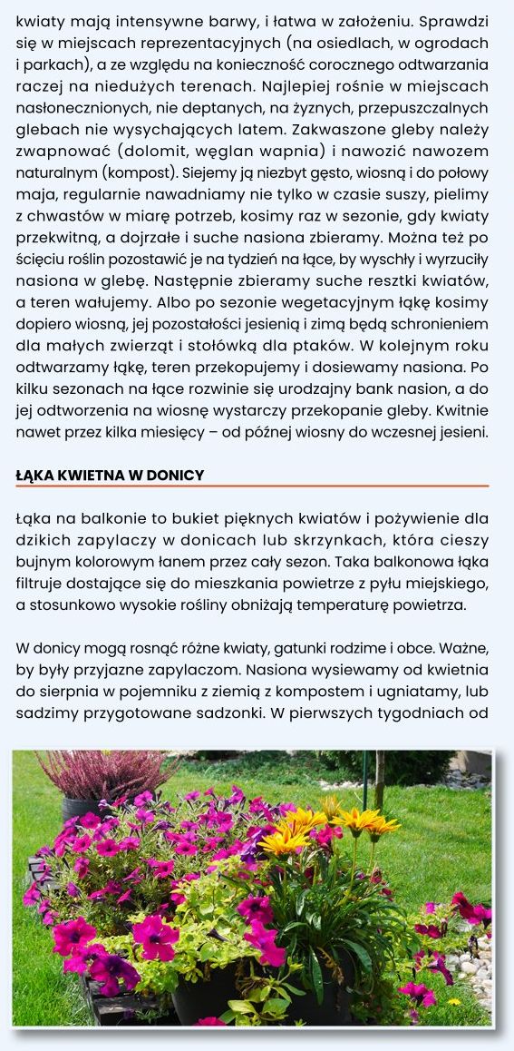Kwietne ogrody dla pszcz&oacute;ł 11