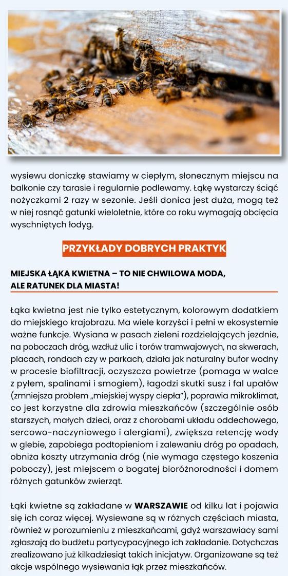 Kwietne ogrody dla pszcz&oacute;ł 11