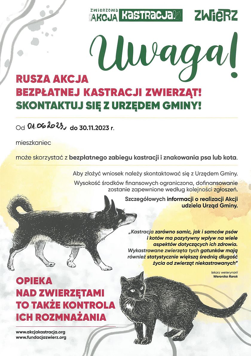 Kastracja Psów i Kotów