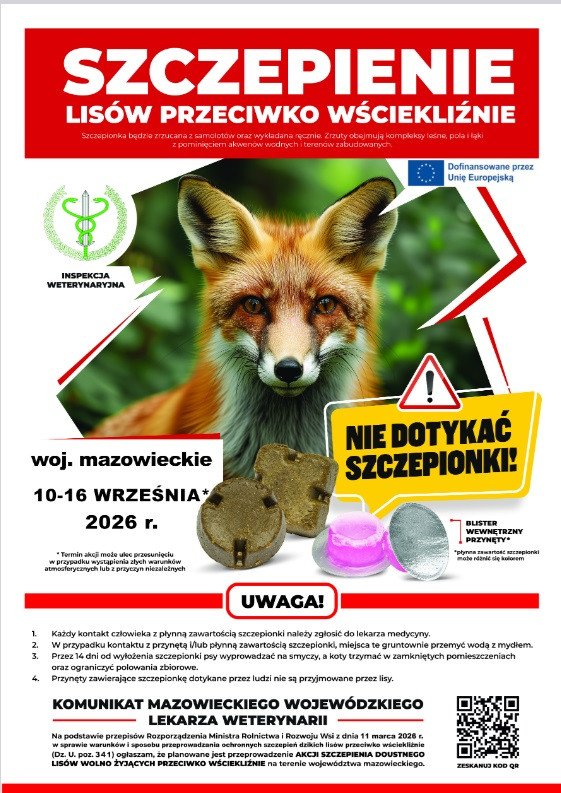 Szczepienie lisów wolnożyjących na mazowszu 10-16 września 2026 Szczepienie lisów wolnożyjących na mazowszu 10-16 września 2026