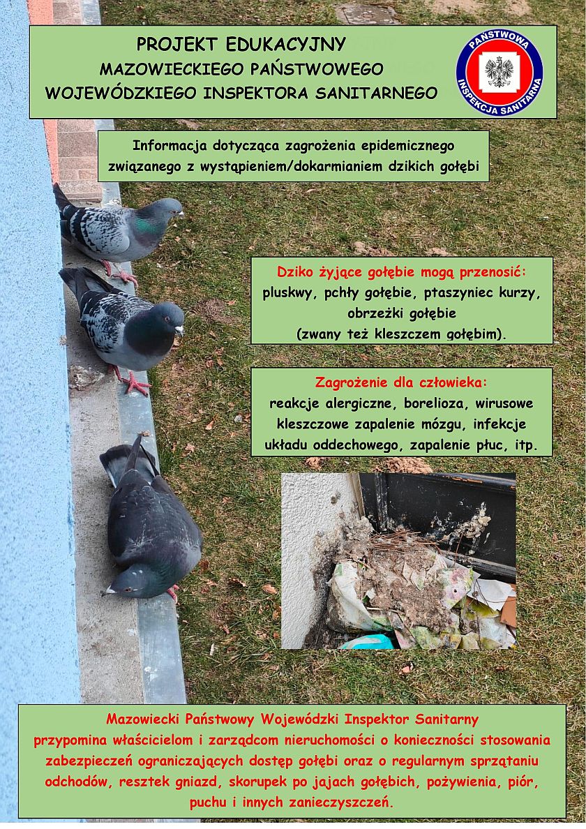 Zagrożenia przy dokarmianiu gołębi